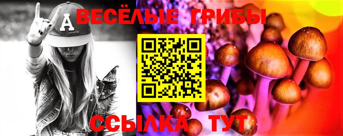 Псилоцибиновые грибы Cubensis  Вход с VPN  Фрязино 